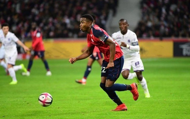 领域的教练 领域的教练