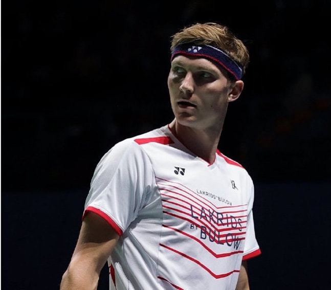 增添了更多 增添了更多